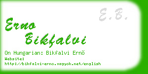 erno bikfalvi business card